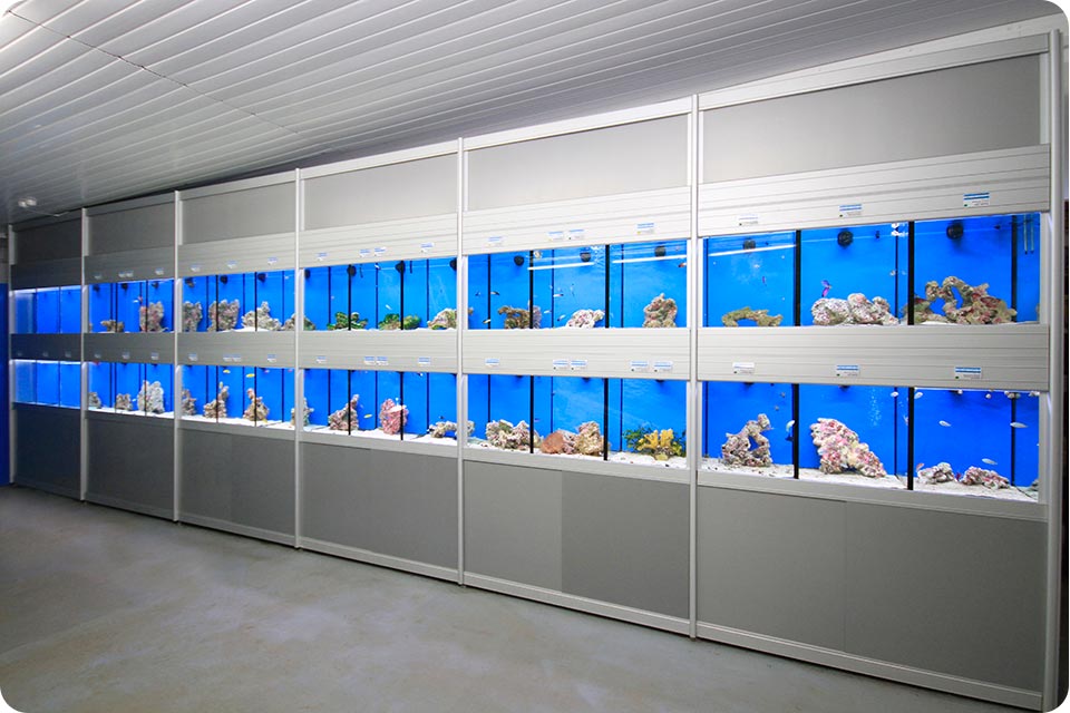 Fish store display outlet tanks for sale